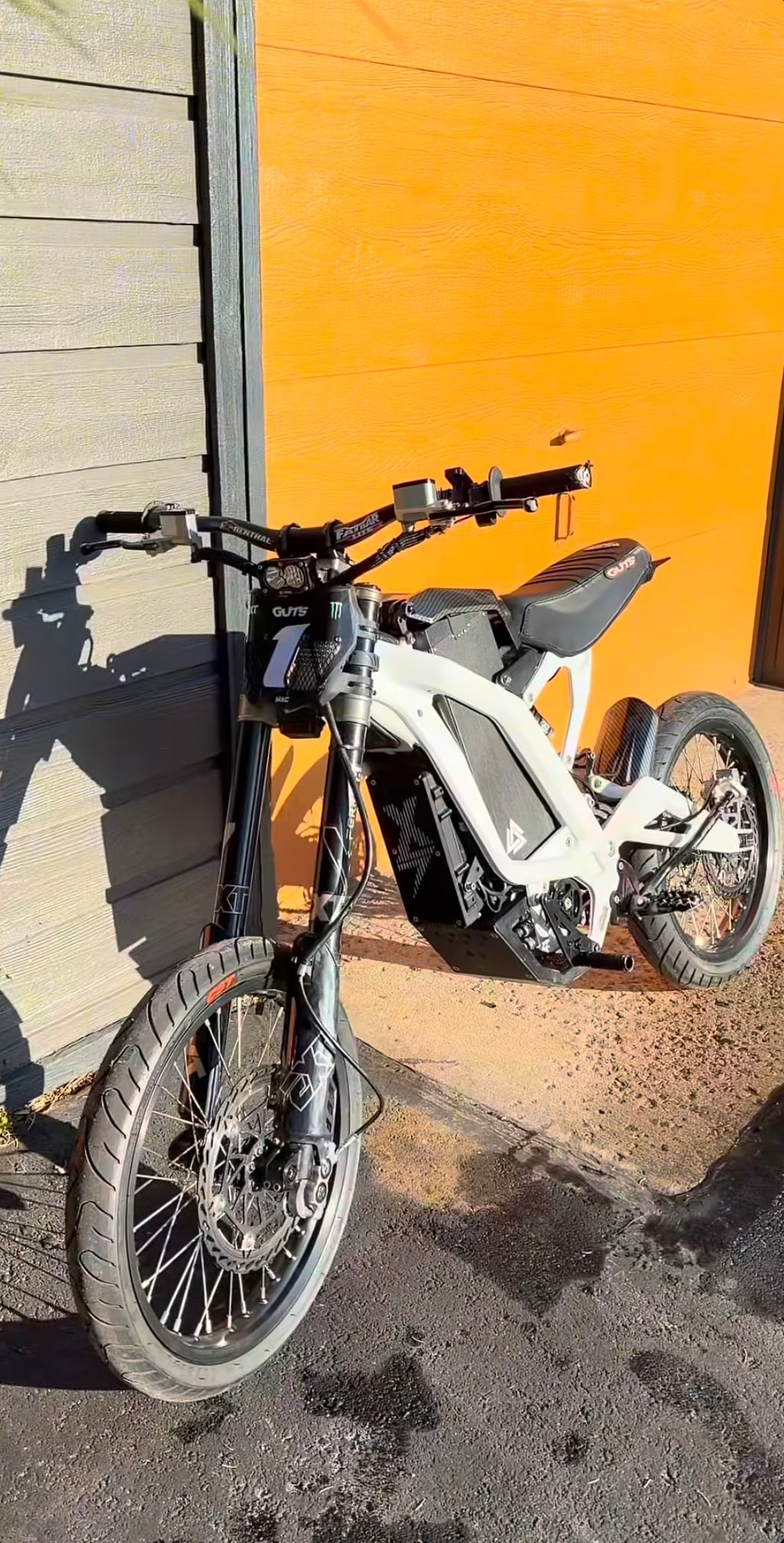 PREORDER SURRON LIGHT BEE X FRAME GAURDS
